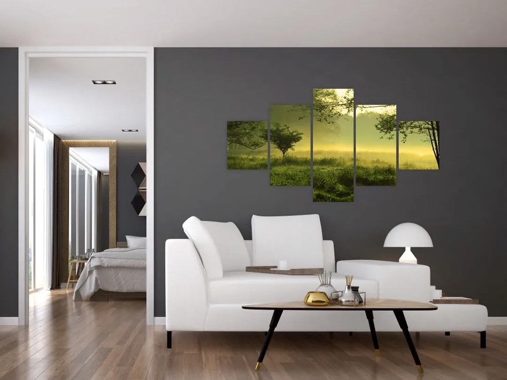 Obraz - Budzący się las (125x70 cm)