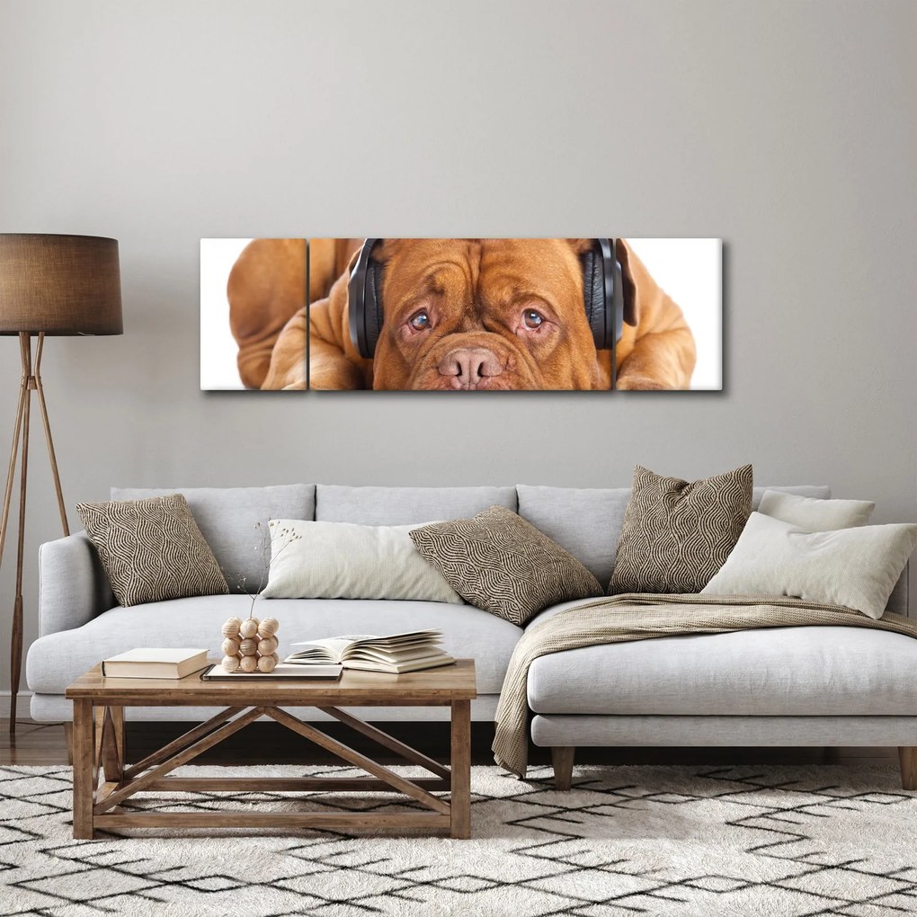 Obraz psa ze słuchawkami (170x50 cm)
