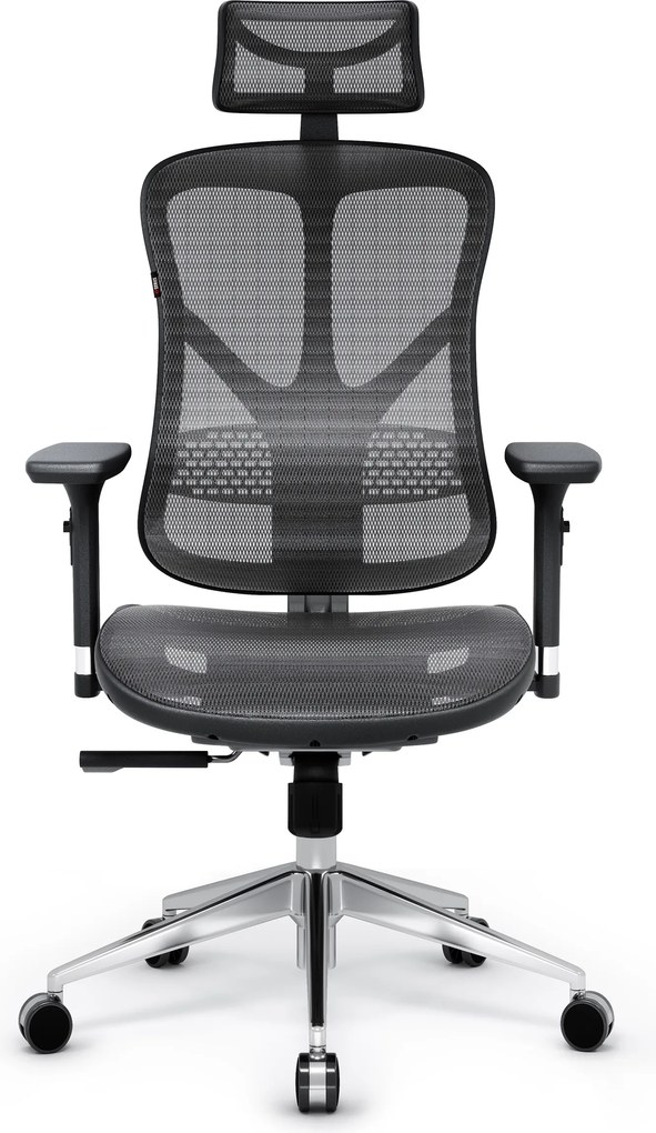 Fotel ergonomiczny Diablo V-Basic, czarno-szary