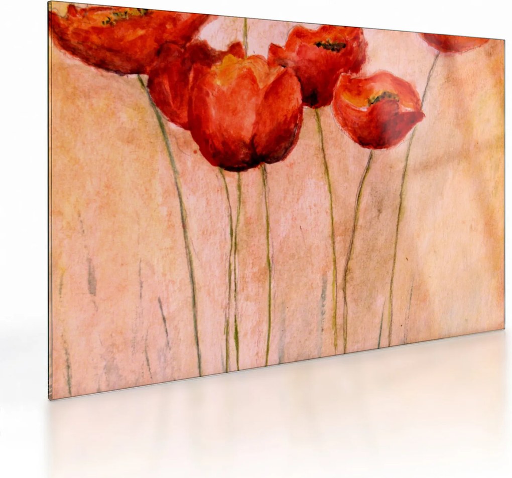 Obraz na szkle - Czerwone tulipany (70x50 cm)