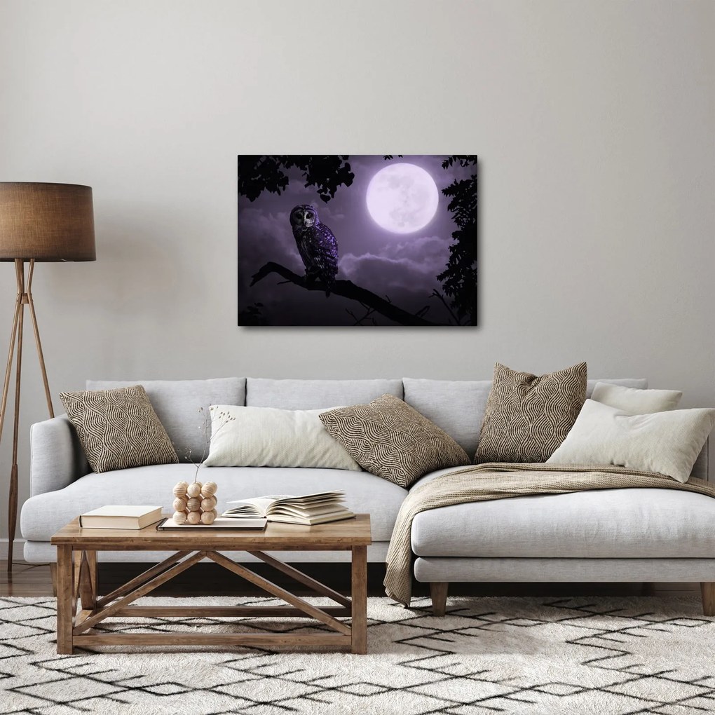 Obraz - Nocna sowa, fioletowy (70x50 cm)