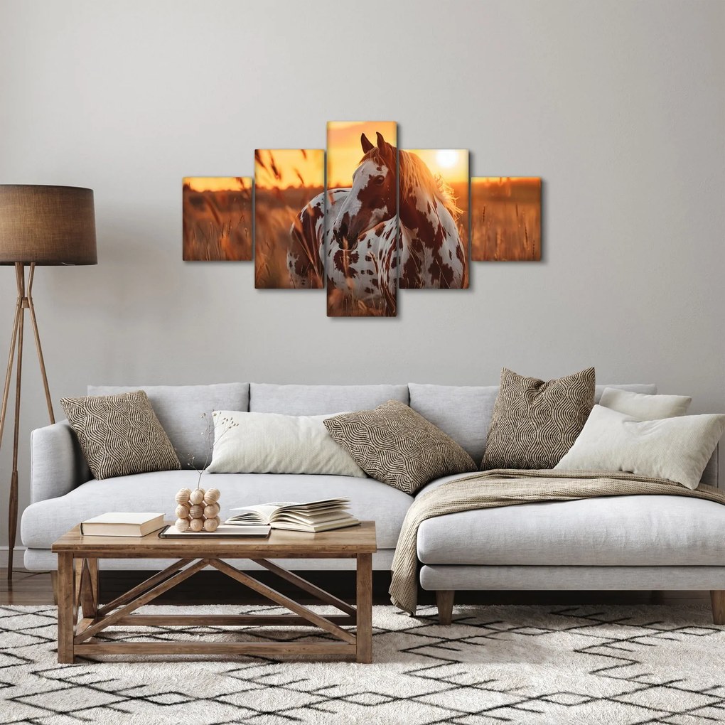 Obraz - Koń o zachodzie słońca (125x70 cm)