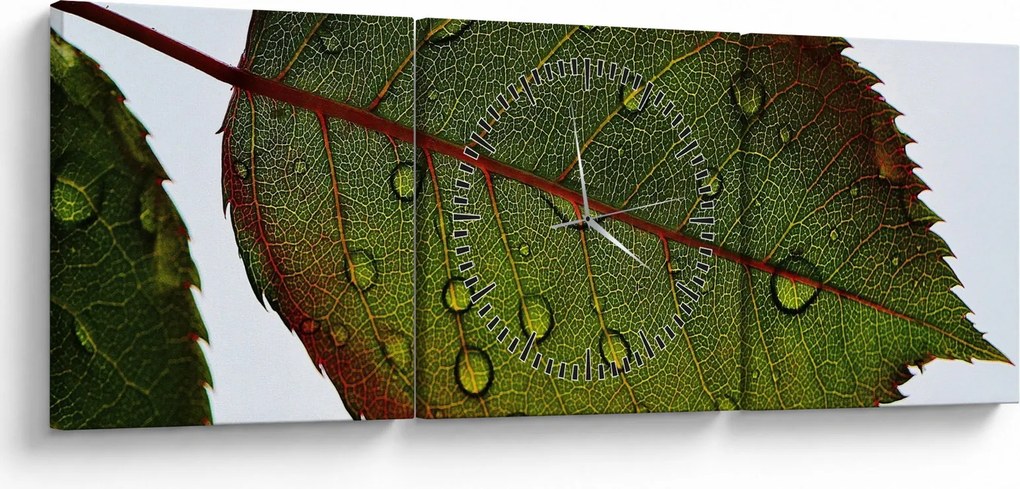 Obraz - Liść róży (z zegarem) (90x30 cm)
