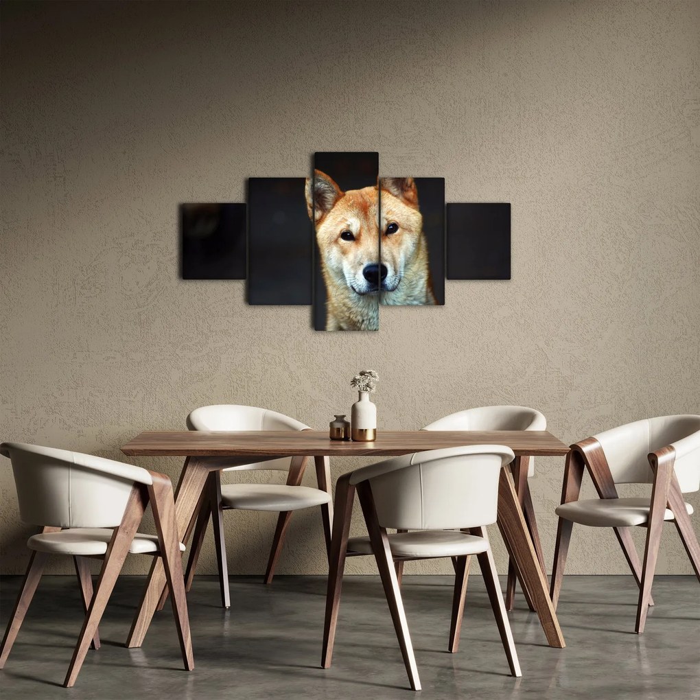 Obraz psa (125x70 cm)