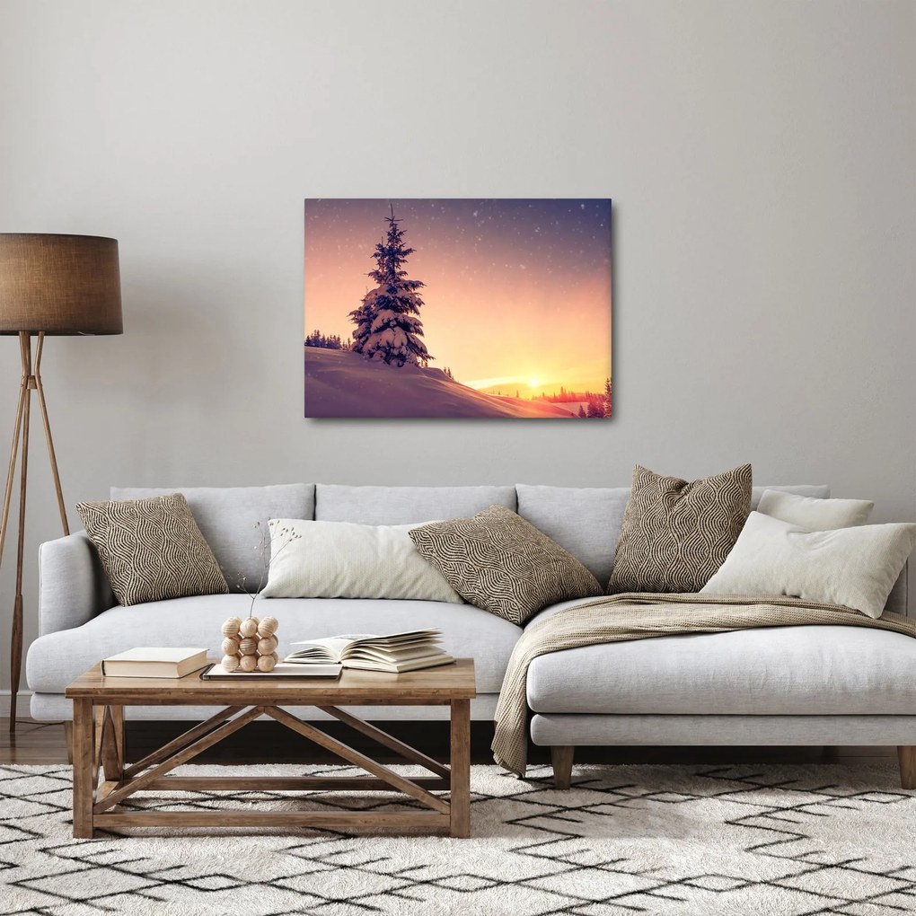 Obraz ośnieżonego drzewa na łące (70x50 cm)