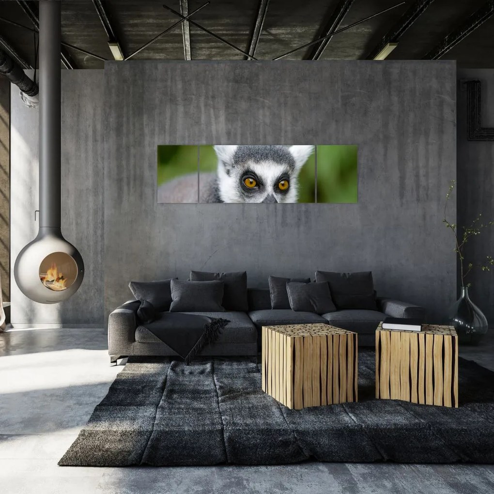 Obraz lemura (170x50 cm)