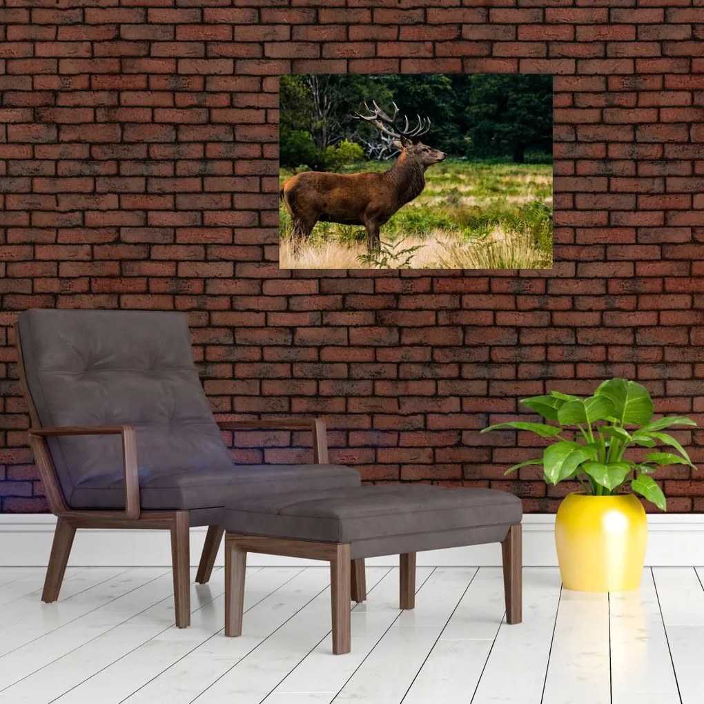 Obraz na szkle jelenia (70x50 cm)
