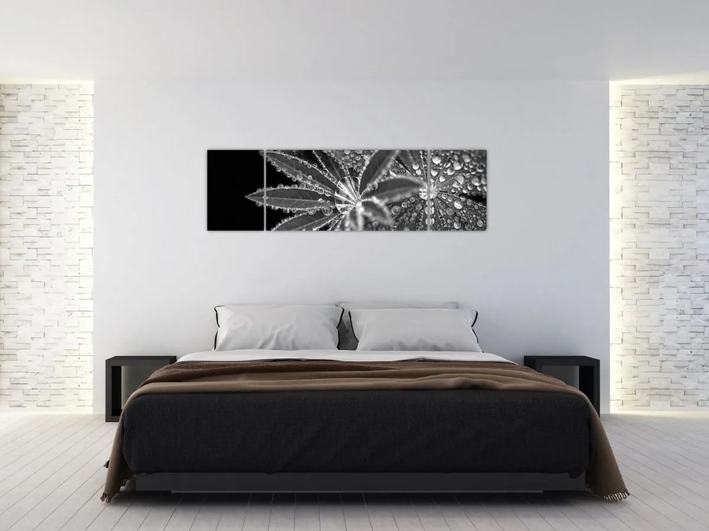 Obraz - Liście z kroplami (170x50 cm)