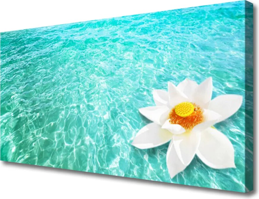 Obraz canvas na ścianę Kwiat Lotosu na Wodzie