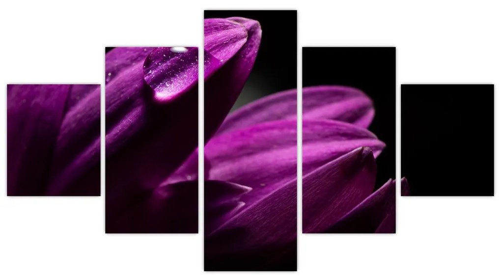 Obraz  - Kropla wody (125x70 cm)