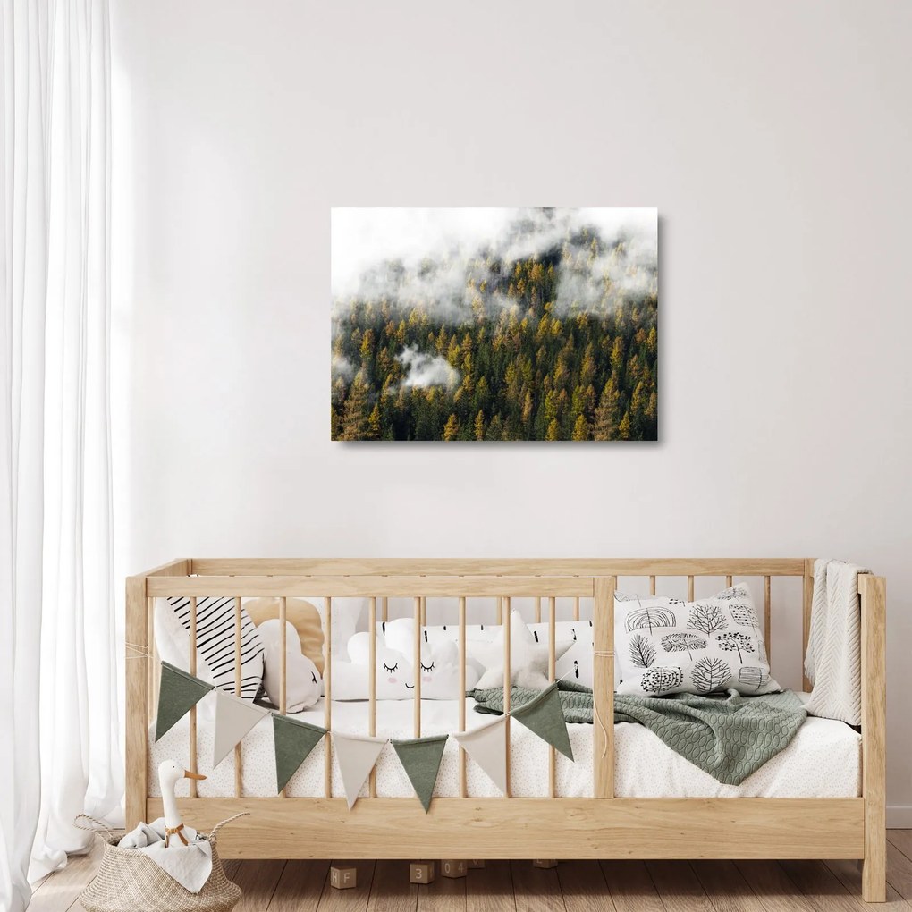 Obraz na szkle lasu w chmurach (70x50 cm)