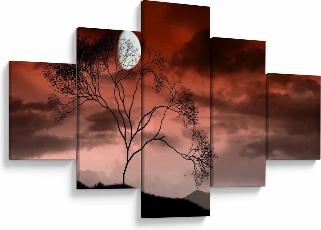 Obraz - Księżyc oświetlający noc (125x70 cm)