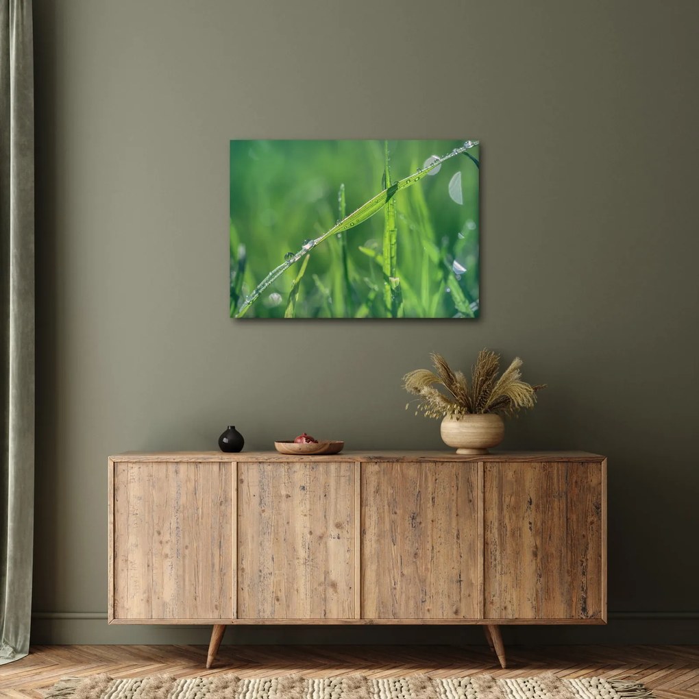 Obraz kropli rosy (70x50 cm)