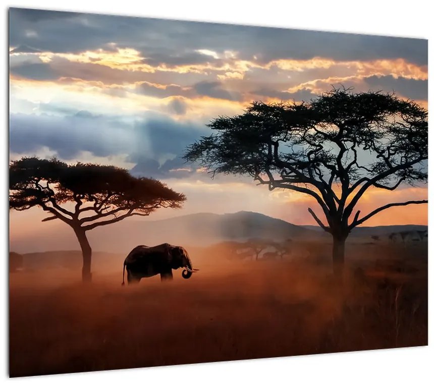 Obraz - Park Narodowy Serengeti, Tanzania, Afryka (70x50 cm)