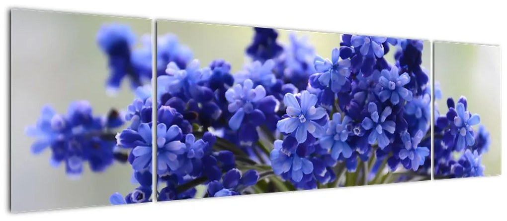 Obraz bukietu niebieskich kwiatów (170x50 cm)