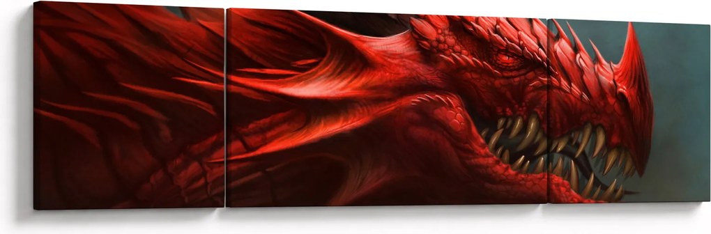 Obraz - Smok (170x50 cm)