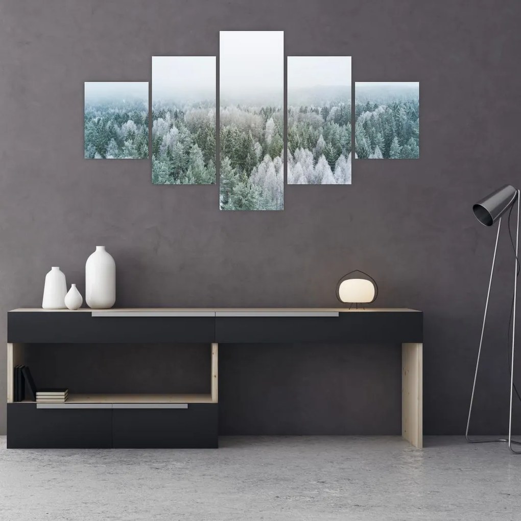 Obraz - Ośnieżone szczyty lasów (125x70 cm)