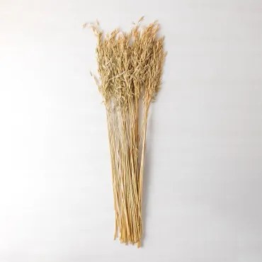 Dekoracyjny Bukiet Jayra Kremowa - Sklum