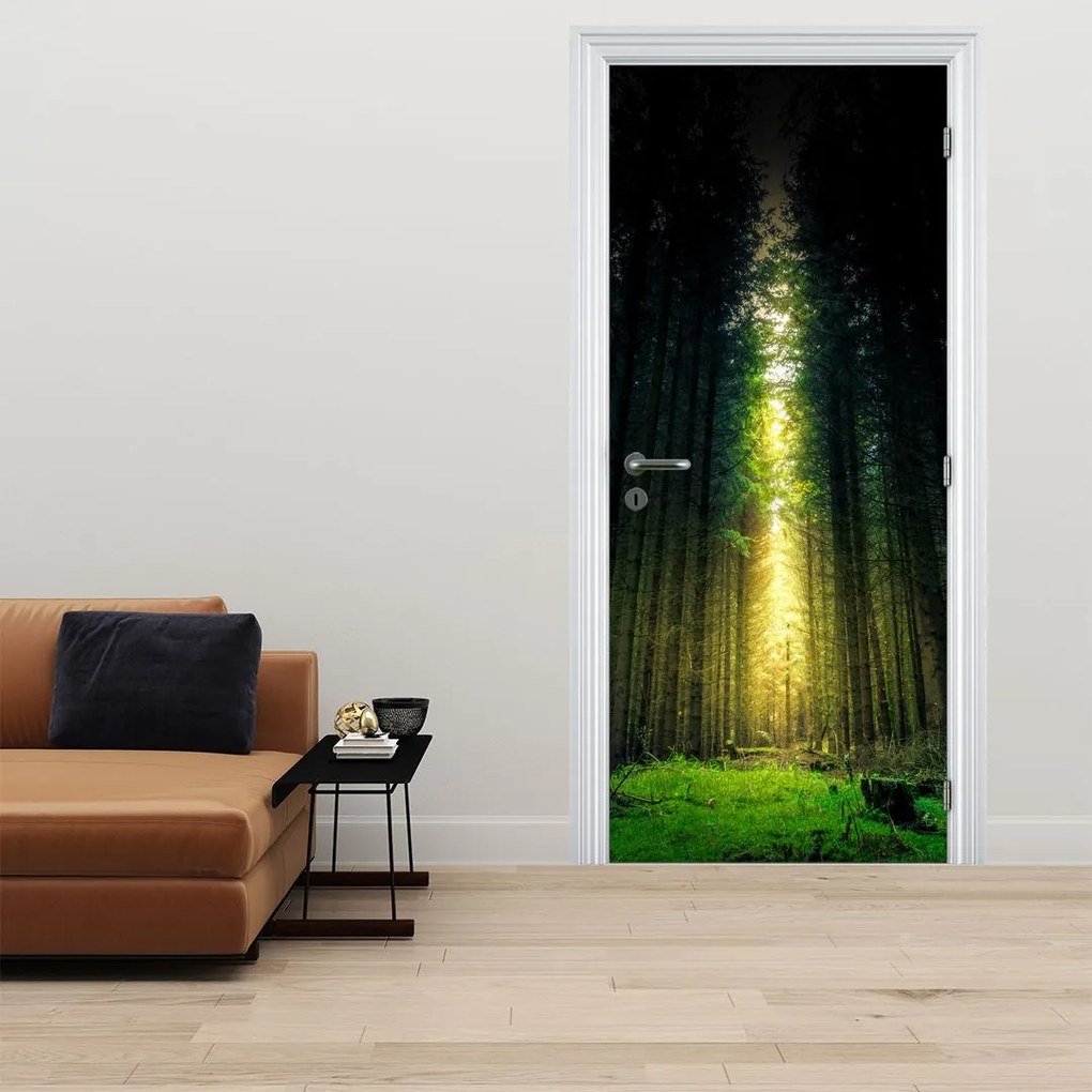 Fototapeta na drzwi - Ciemny las (95x205cm)