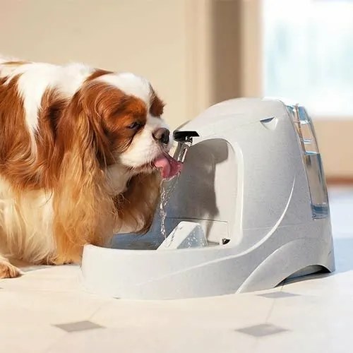 PetSafe® Platinum Fontanna 5 l