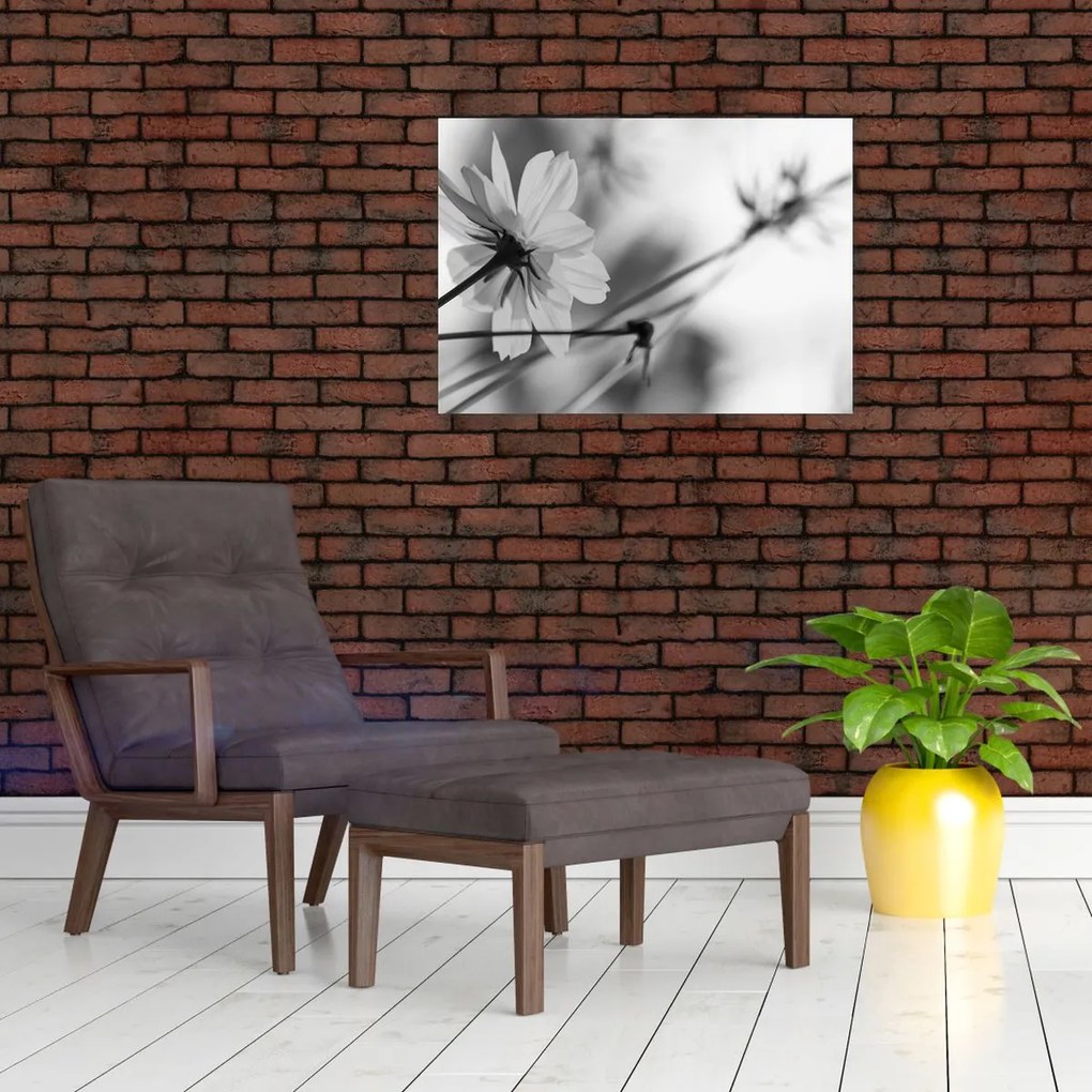Obraz - Czarno - białe kwiaty (70x50 cm)