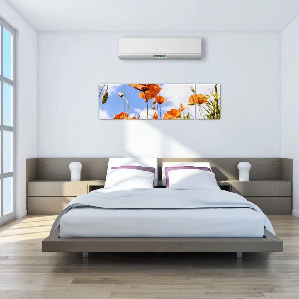Obraz maków (170x50 cm)