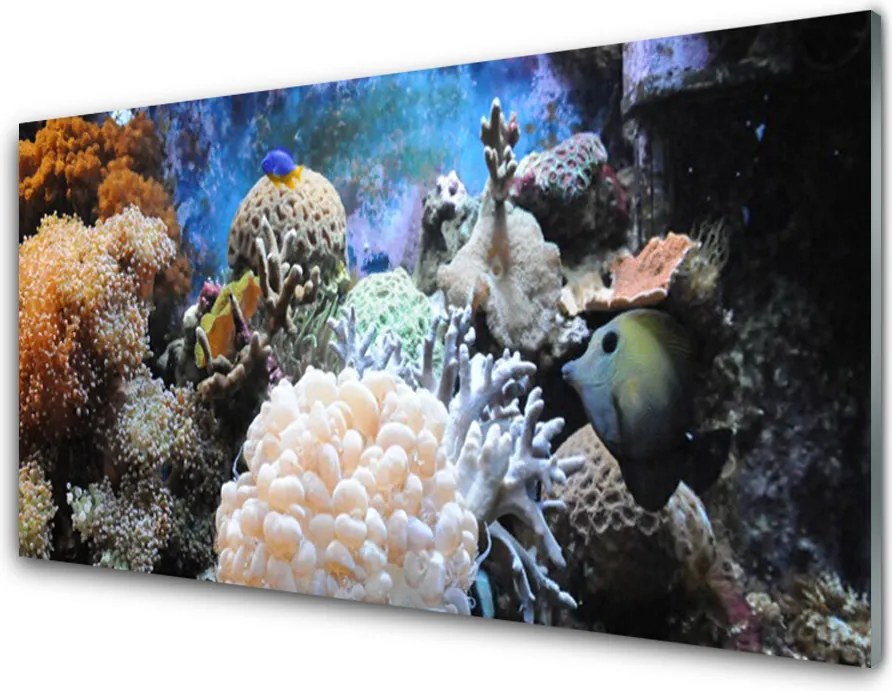 Szkło Ozdobne do Kuchni Bogactwo Oceanicznej Rafy