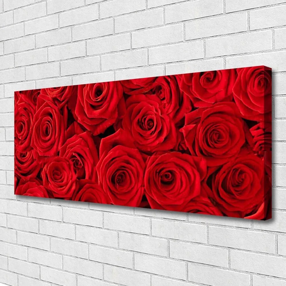 Obraz Canvas Róże Kwiaty Roślina