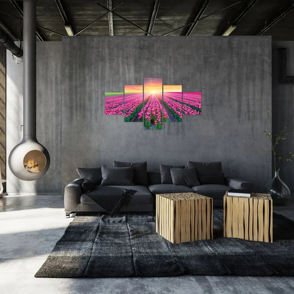 Obraz pole tulipanów ze słońcem (125x70 cm)