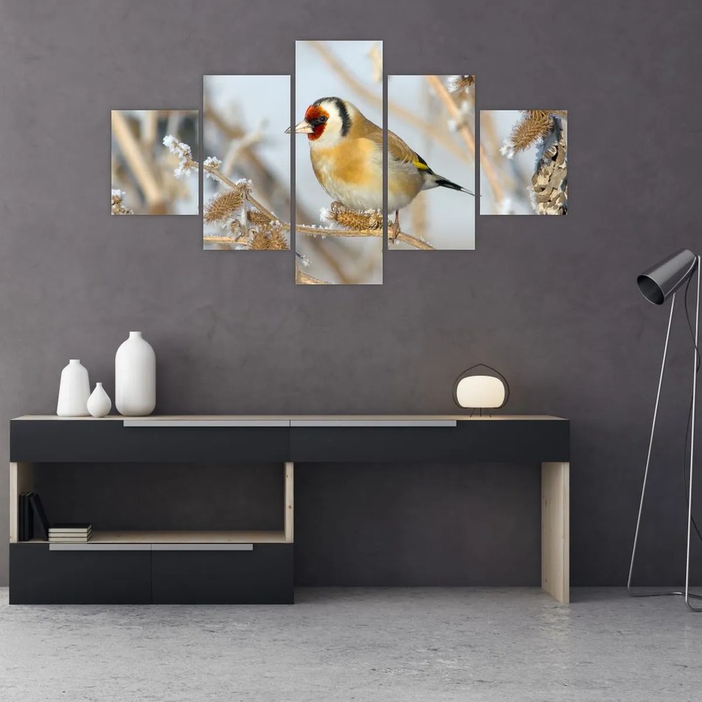 Obraz - Szczygieł (125x70 cm)