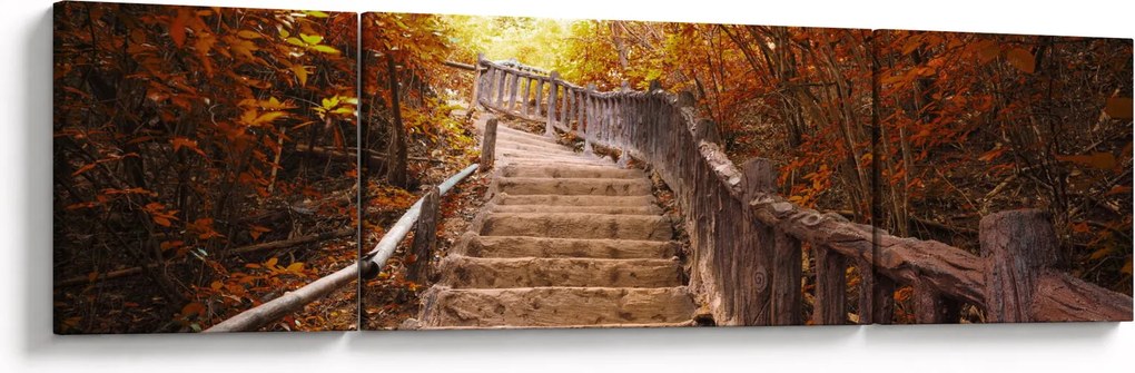 Obraz - Schody w naturze jesienią (170x50 cm)