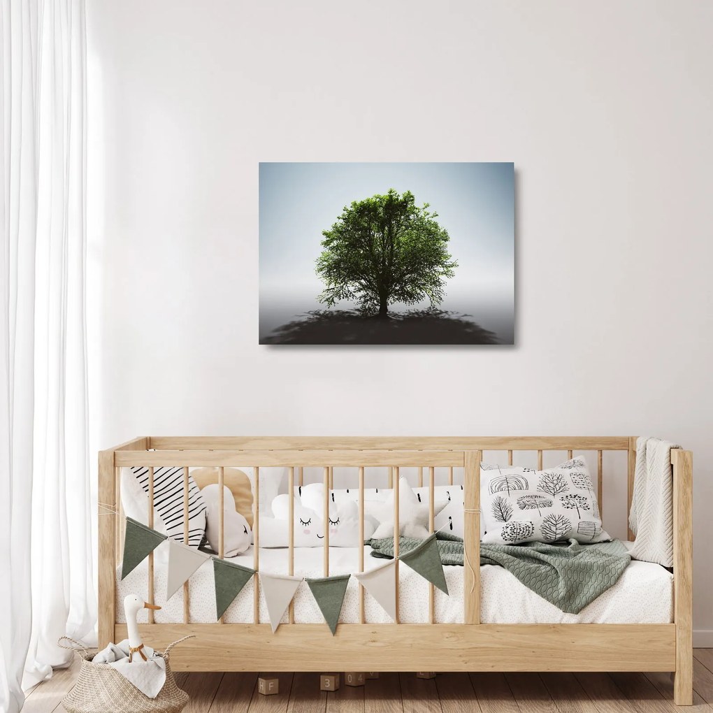 Obraz na szkle - Samotne drzewo (70x50 cm)