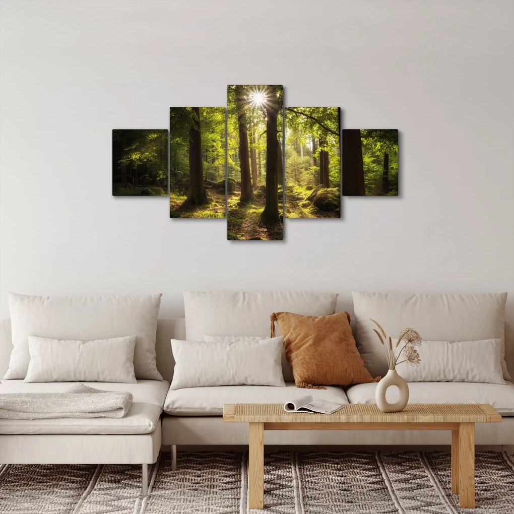 Obraz sennego lasu (125x70 cm)