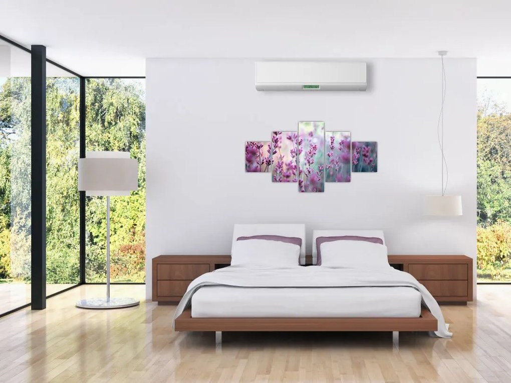 Obraz - Lawenda (125x70 cm)