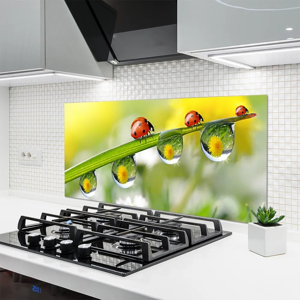 Panel Szklany Biedronka na Zielonym Liściu