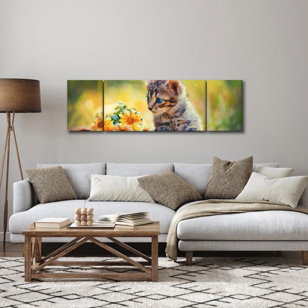 Obraz kotka patrzącego na kwiat (170x50 cm)