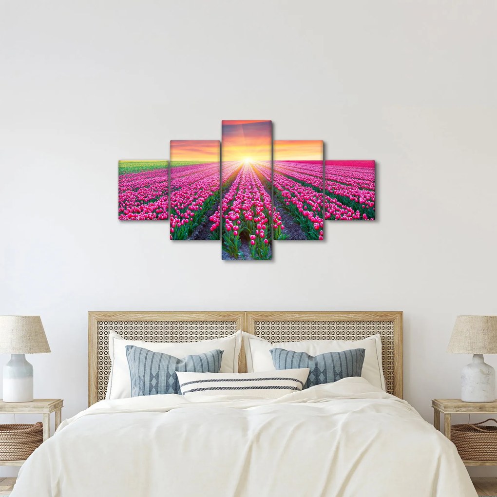 Obraz pole tulipanów ze słońcem (125x70 cm)