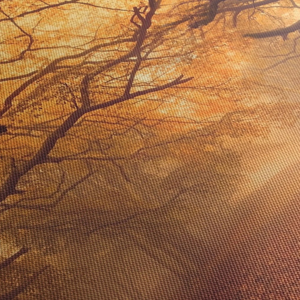Obraz drogi w jesiennym krajobrazie (170x50 cm)