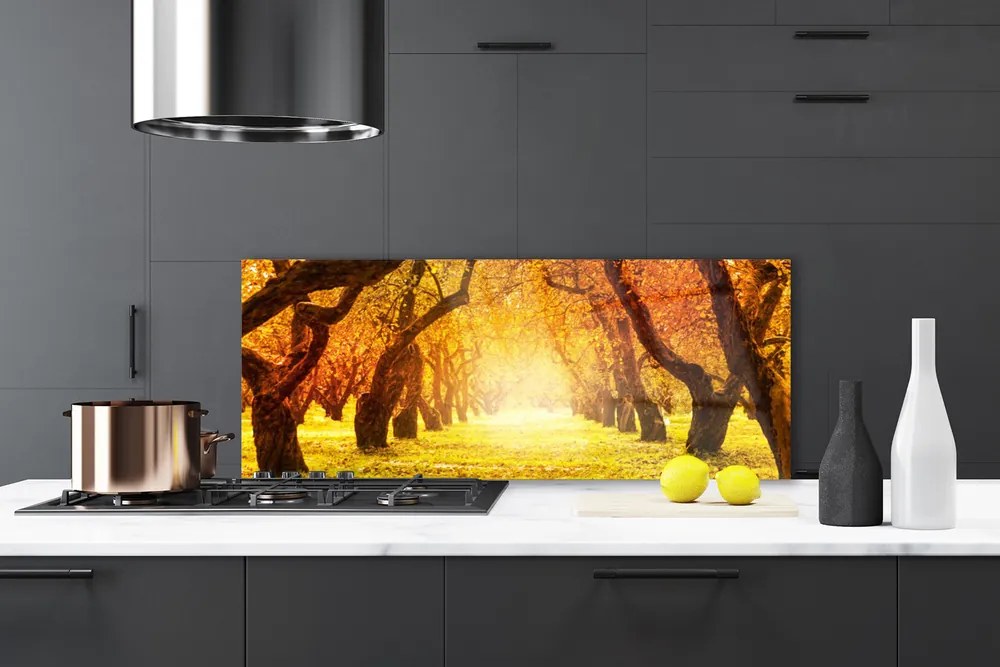 Panel Szklany Aleja W Cieniu Drzew