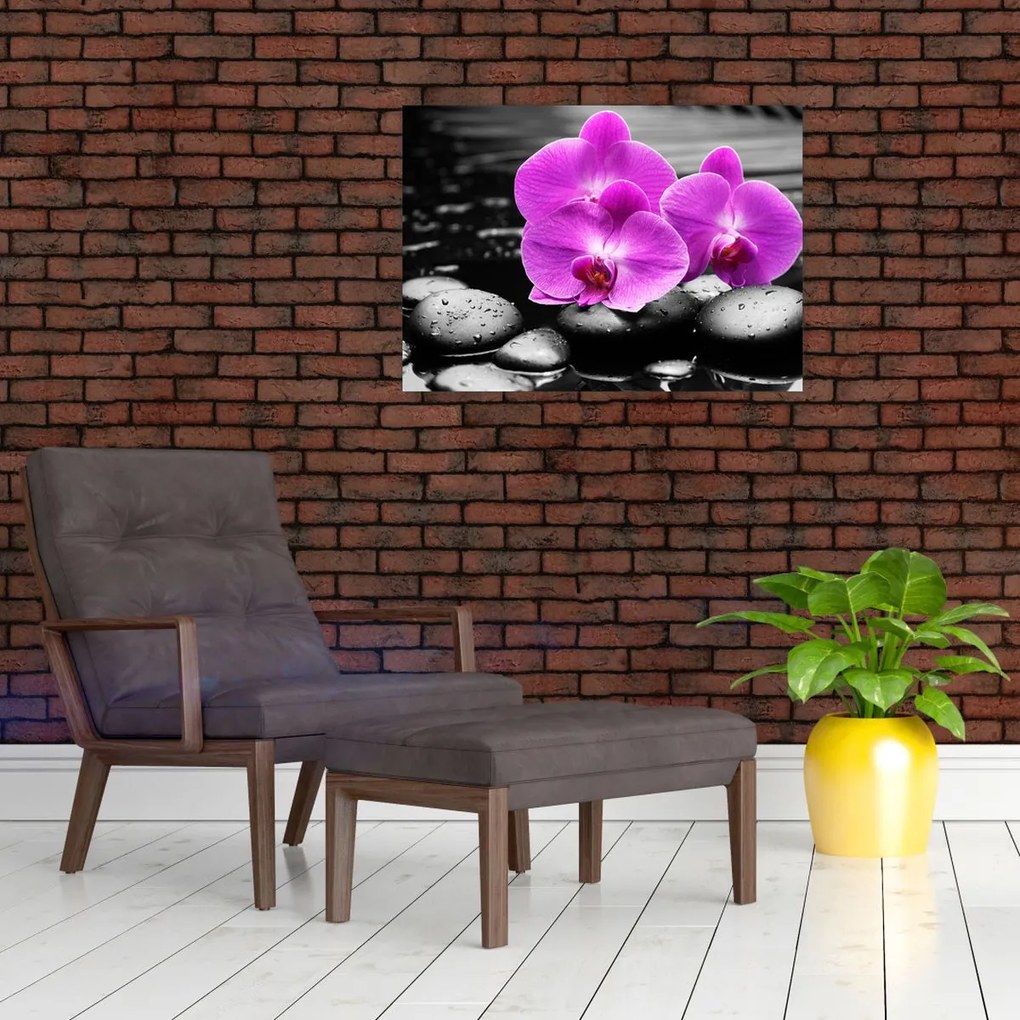 Obraz na szkle - Fioletowe orchidee (70x50 cm)