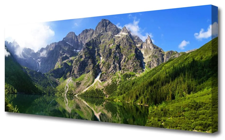 Obraz Canvas Tatry Góry Morskie Oko Las