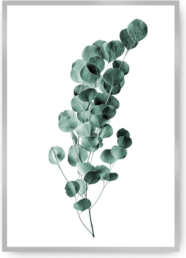 Plakat Eucalyptus Emerald Green
