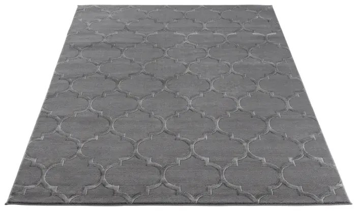 Dywan ELSHER GRAY 160x220 szary ELTAP