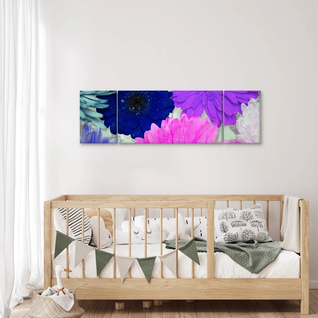 Obraz kolorowych kwiatów (170x50 cm)
