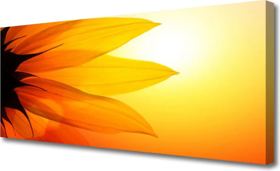 Zdjęcie na płótnie Piękno Natury: Kwiat