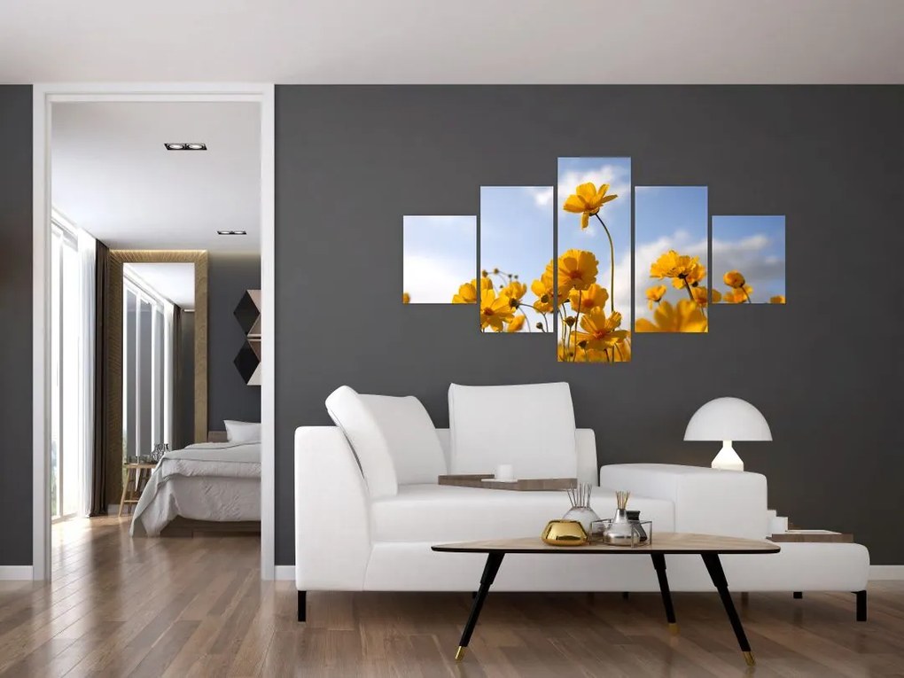 Obraz pola z jasnożółtymi kwiatami (125x70 cm)