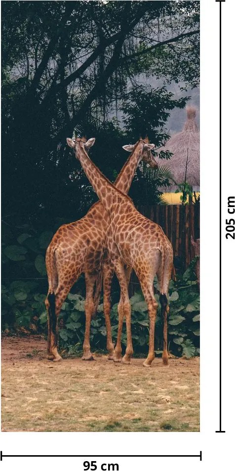 Fototapeta na drzwi - Dwie żyrafy (95x205cm)