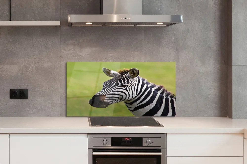 Szklany Panel Zebra w Naturalnym Środowisku