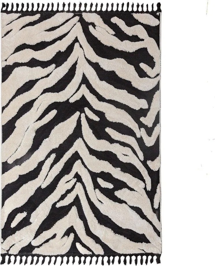 Czarno-biały dywan 200x300 cm Esra Zebra – Flair Rugs