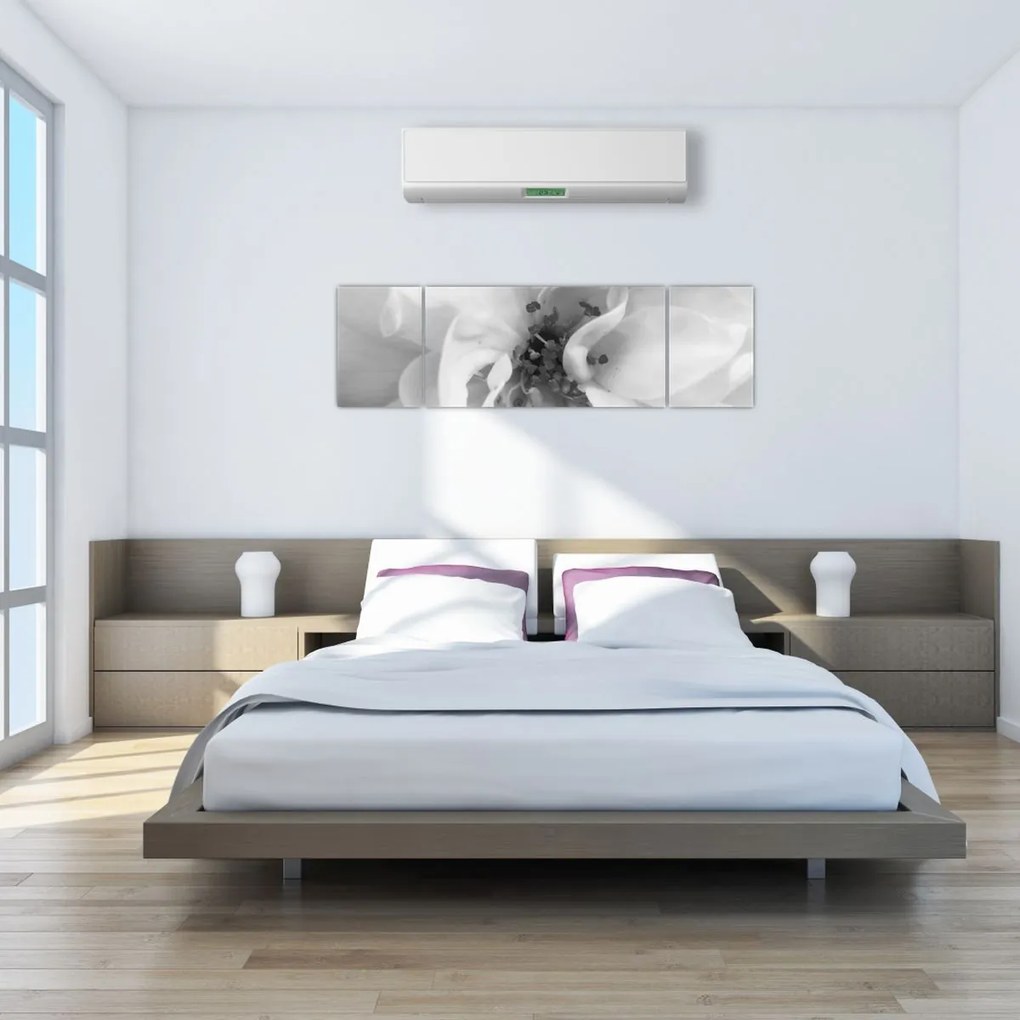 Obraz - Kwiat, czarno - biały (170x50 cm)